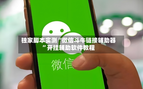 独家脚本实测“微信斗牛链接辅助器	”开挂辅助软件教程-第2张图片