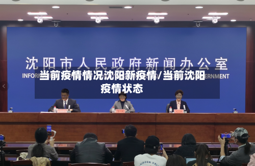 当前疫情情况沈阳新疫情/当前沈阳疫情状态