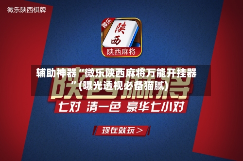 辅助神器“微乐陕西麻将万能开挂器”(曝光透视必备猫腻)-第3张图片