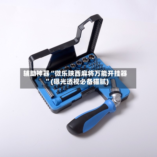 辅助神器“微乐陕西麻将万能开挂器”(曝光透视必备猫腻)-第2张图片