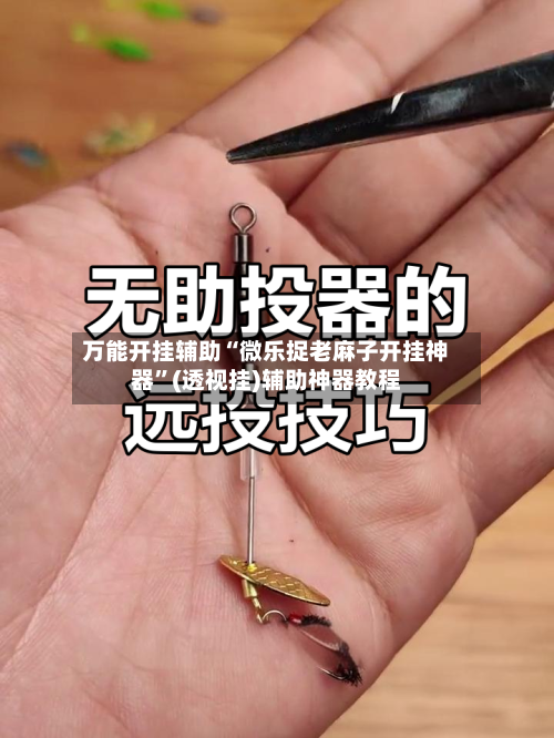 万能开挂辅助“微乐捉老麻子开挂神器”(透视挂)辅助神器教程