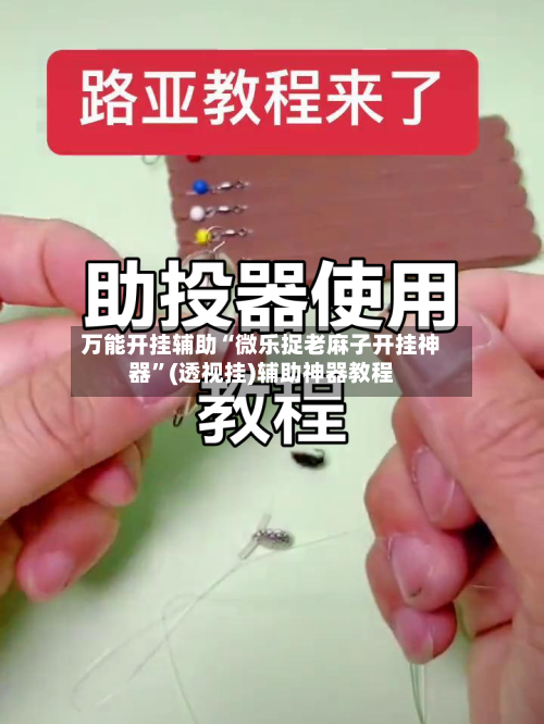 万能开挂辅助“微乐捉老麻子开挂神器	”(透视挂)辅助神器教程-第2张图片