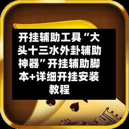 开挂辅助工具“大头十三水外卦辅助神器”开挂辅助脚本+详细开挂安装教程