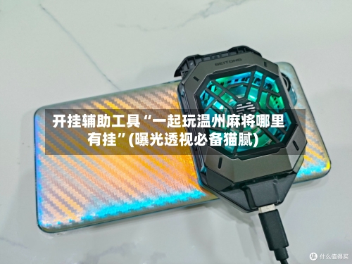 开挂辅助工具“一起玩温州麻将哪里有挂”(曝光透视必备猫腻)