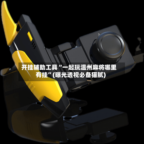 开挂辅助工具“一起玩温州麻将哪里有挂”(曝光透视必备猫腻)-第2张图片