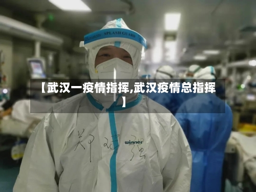 【武汉一疫情指挥,武汉疫情总指挥】-第2张图片