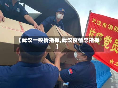 【武汉一疫情指挥,武汉疫情总指挥】