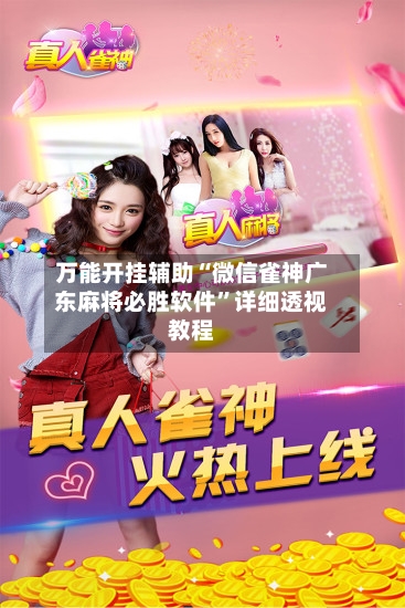 万能开挂辅助“微信雀神广东麻将必胜软件”详细透视教程-第2张图片