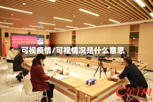 可视疫情/可视情况是什么意思-第2张图片