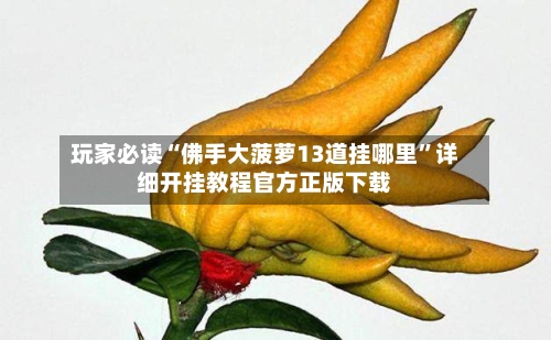 玩家必读“佛手大菠萝13道挂哪里”详细开挂教程官方正版下载