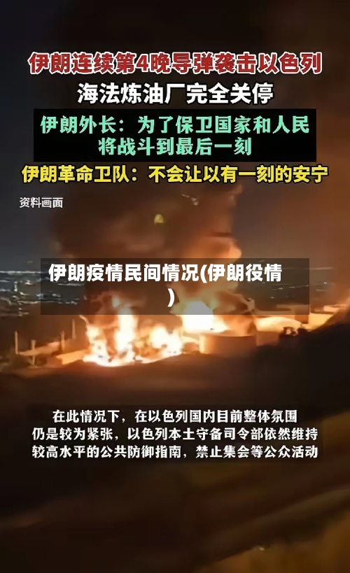 伊朗疫情民间情况(伊朗役情)-第3张图片