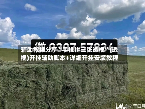 辅助教程分享“手机拼三张透视	”(透视)开挂辅助脚本+详细开挂安装教程-第2张图片