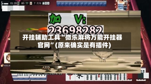 开挂辅助工具“微乐麻将万能开挂器官网”(原来确实是有插件)-第2张图片