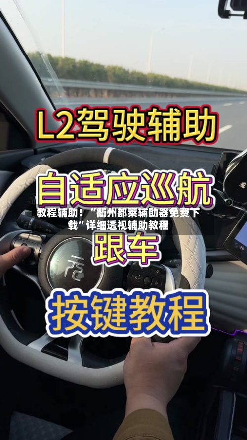 教程辅助！“衢州都莱辅助器免费下载”详细透视辅助教程