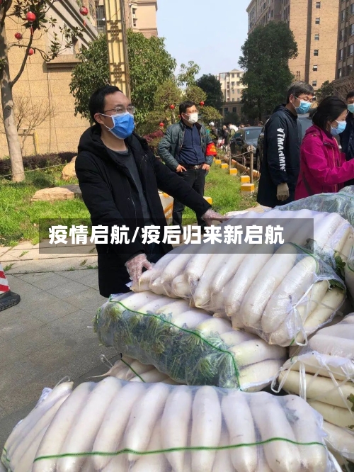 疫情启航/疫后归来新启航