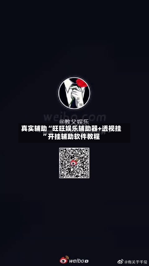 真实辅助“旺旺娱乐辅助器+透视挂	”开挂辅助软件教程-第2张图片