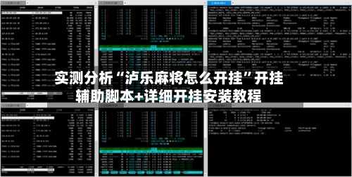 实测分析“泸乐麻将怎么开挂”开挂辅助脚本+详细开挂安装教程-第3张图片