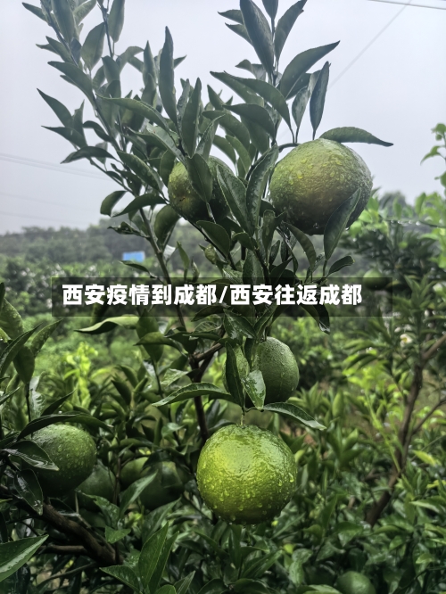 西安疫情到成都/西安往返成都-第2张图片