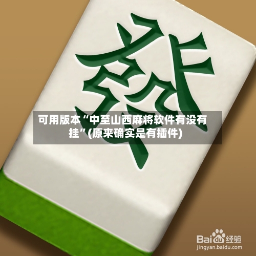 可用版本“中至山西麻将软件有没有挂”(原来确实是有插件)-第2张图片