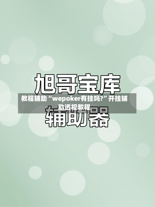 教程辅助“wepoker有挂吗?”开挂辅助透视教程