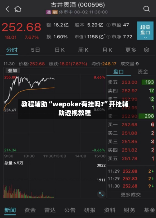 教程辅助“wepoker有挂吗?	”开挂辅助透视教程-第2张图片