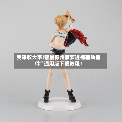 我来教大家!智星德州菠萝透视辅助插件”通用版下载教程！-第3张图片