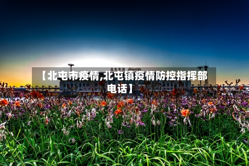 【北屯市疫情,北屯镇疫情防控指挥部电话】