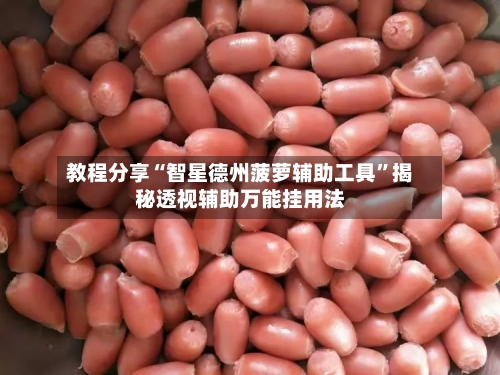 教程分享“智星德州菠萝辅助工具”揭秘透视辅助万能挂用法-第2张图片