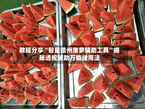 教程分享“智星德州菠萝辅助工具”揭秘透视辅助万能挂用法-第3张图片