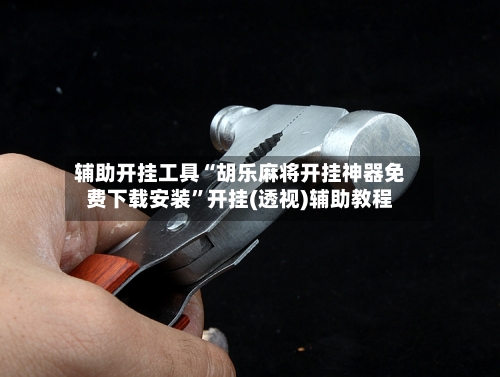 辅助开挂工具“胡乐麻将开挂神器免费下载安装	”开挂(透视)辅助教程-第2张图片