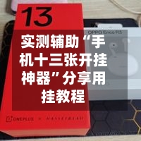 实测辅助“手机十三张开挂神器	”分享用挂教程-第2张图片