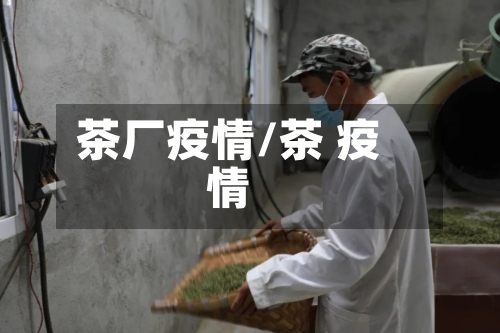 茶厂疫情/茶 疫情-第2张图片
