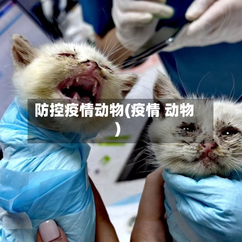 防控疫情动物(疫情 动物)-第2张图片