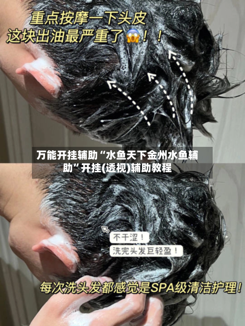 万能开挂辅助“水鱼天下金州水鱼辅助”开挂(透视)辅助教程