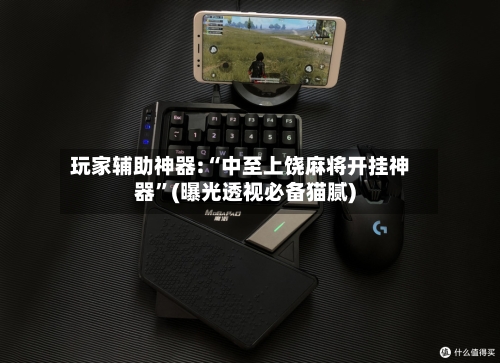 玩家辅助神器:“中至上饶麻将开挂神器”(曝光透视必备猫腻)-第3张图片