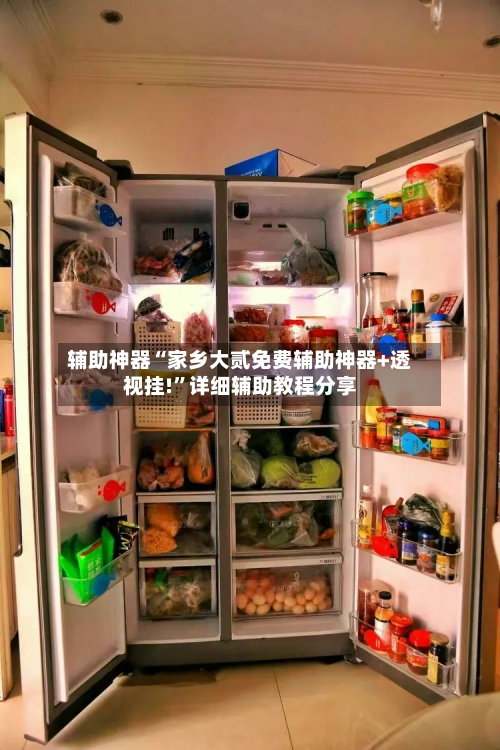 辅助神器“家乡大贰免费辅助神器+透视挂!”详细辅助教程分享