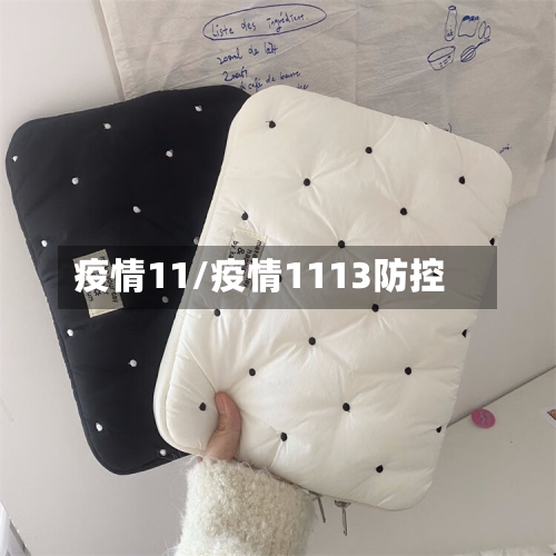 疫情11/疫情1113防控-第2张图片