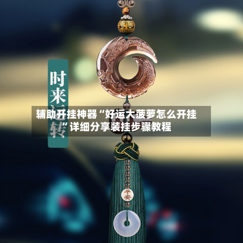 辅助开挂神器“好运大菠萝怎么开挂	”详细分享装挂步骤教程-第2张图片