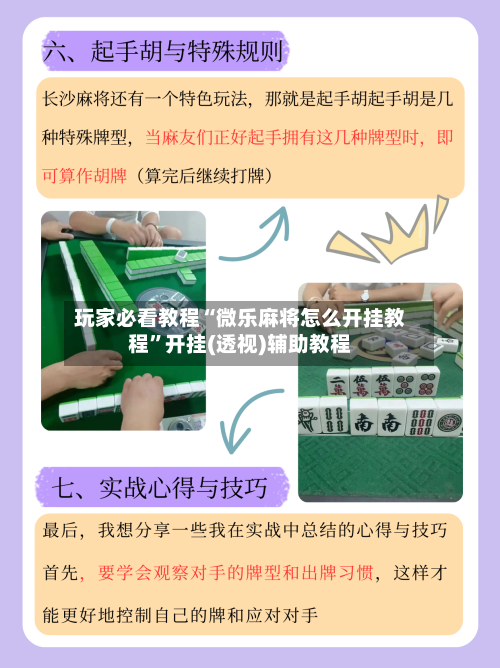 玩家必看教程“微乐麻将怎么开挂教程	”开挂(透视)辅助教程-第2张图片