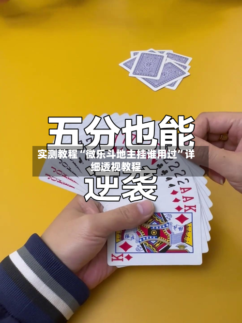 实测教程“微乐斗地主挂谁用过”详细透视教程