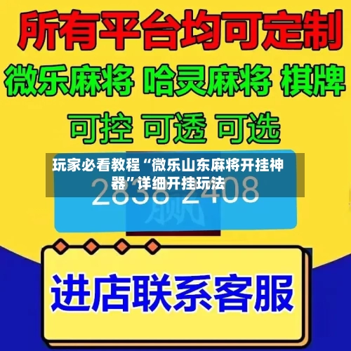 玩家必看教程“微乐山东麻将开挂神器”详细开挂玩法-第2张图片