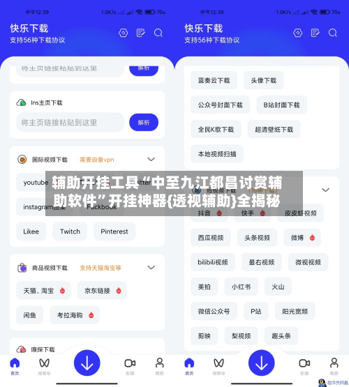 辅助开挂工具“中至九江都昌讨赏辅助软件”开挂神器{透视辅助}全揭秘-第3张图片
