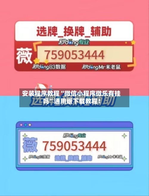 安装程序教程“微信小程序微乐有挂吗”通用版下载教程！-第3张图片