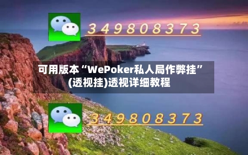 可用版本“WePoker私人局作弊挂”(透视挂)透视详细教程