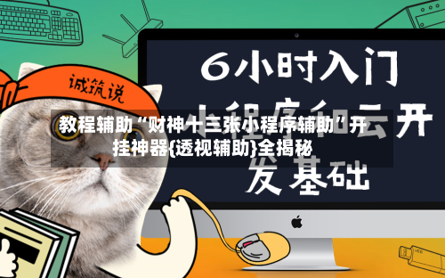教程辅助“财神十三张小程序辅助	”开挂神器{透视辅助}全揭秘-第3张图片