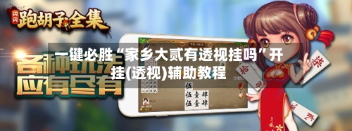 一键必胜“家乡大贰有透视挂吗”开挂(透视)辅助教程-第2张图片