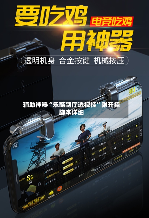 辅助神器“乐酷副厅透视挂”附开挂脚本详细-第3张图片