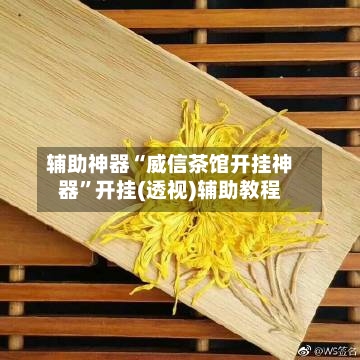 辅助神器“威信茶馆开挂神器”开挂(透视)辅助教程