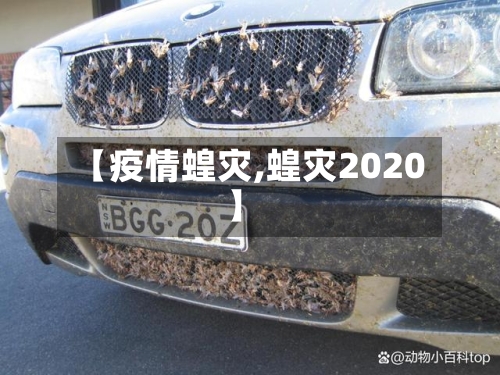 【疫情蝗灾,蝗灾2020】-第2张图片
