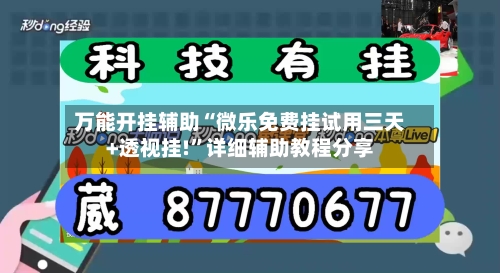 万能开挂辅助“微乐免费挂试用三天+透视挂!”详细辅助教程分享-第3张图片